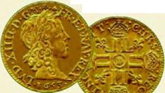 ���� - ������ �����������