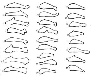 13 ������������� ��������������� �����������