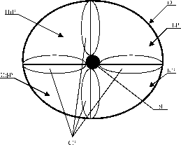  ������������ ����������� ������������ ������������� �������� ����� ��������-��������