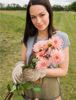 ������ �. - �������� �����