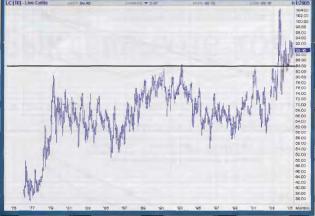 ����� �. - ��� ������ �� �������