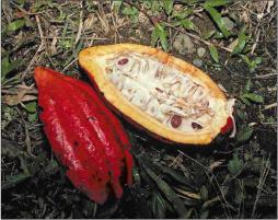 �������� �. �. - ����� ���� � ������� ���� ��������