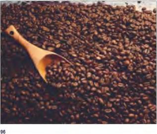 ������ �. - �������� ���� ���� �� ������