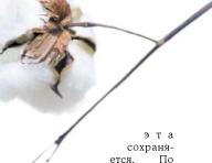 Бобрик П. - Уносимый ветром, или Контракт на хлопок