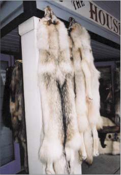 Бобрик Л. - Мягкое золото