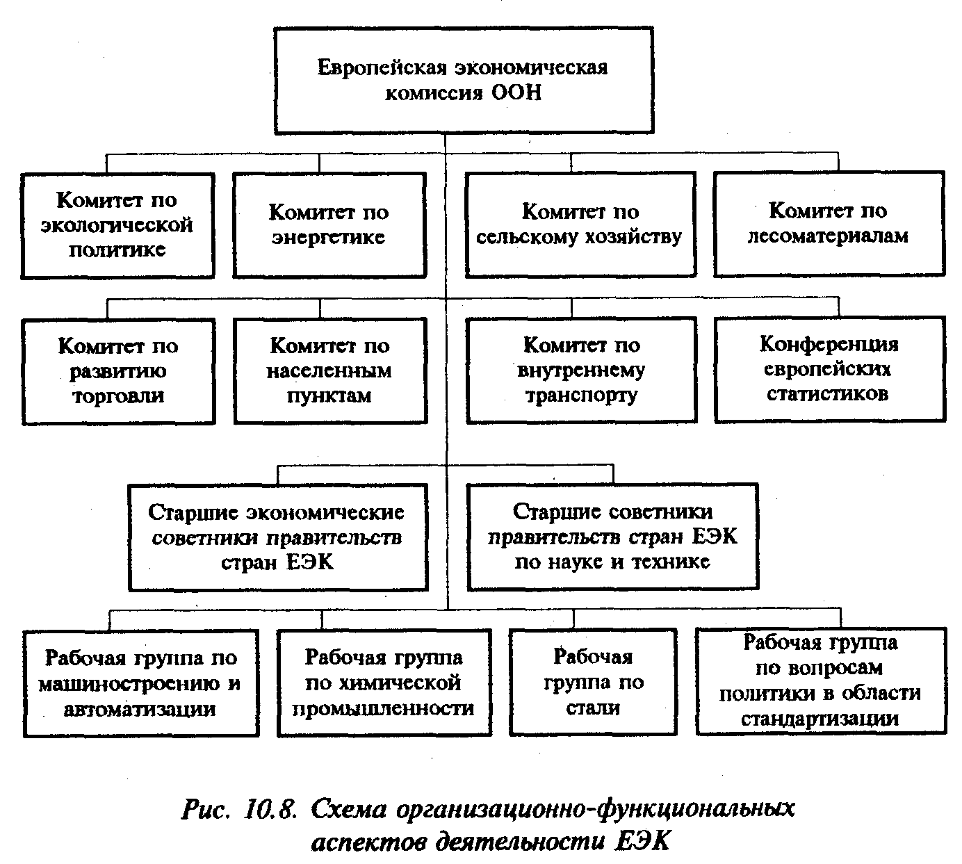 ��������� ����