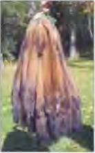 ������� �. �. - ���� ��� �����,���� ������� ��������?