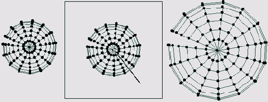 ��������� ���������