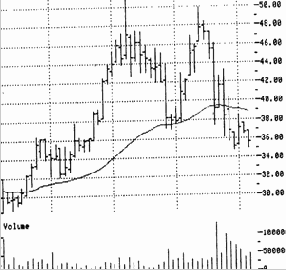 ����� ����� ����������