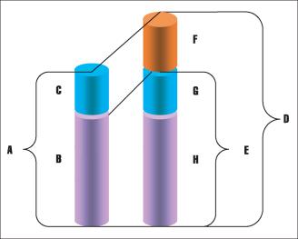 Скалон В. - «Голубые фишки» подставляют плечо