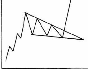 ������ ����