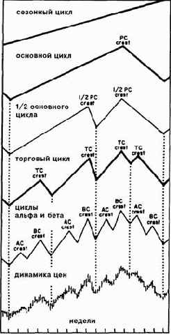 ������������� ������