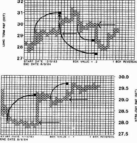 пример почти годовой динамики цен