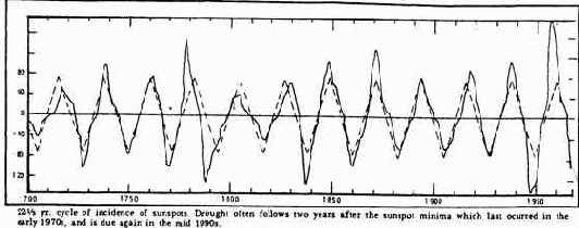 в том, что такие схожие
