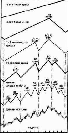 Классификация циклов