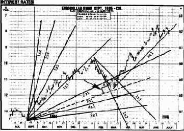 Приложение 3. Пример использования всех