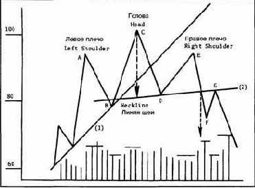 Модель перелома