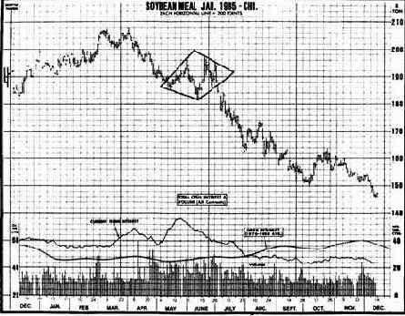 в роли медвежьей модели продолжения
