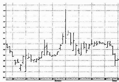 ������ ���������