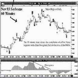 ������� ������������ ���� �� ������� 