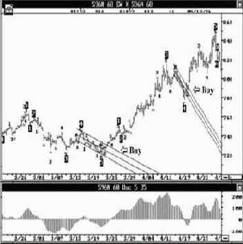 ���� 96 ������ ����. ������� ������� � ������� ����