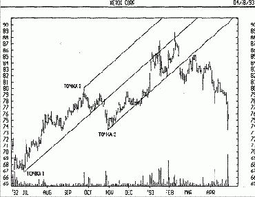 ����������� ������ - ���� ������� - ������