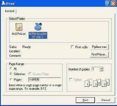 ������ ���������� � ������� Print