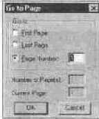 ������� � �������� �������� ��������� (Go to Page...)