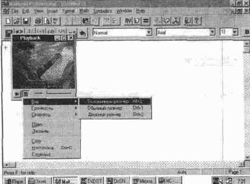 ����� ������������� (Playback)