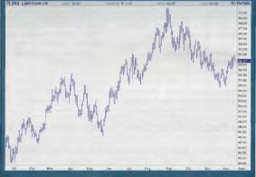 ������ �. - ���� �� ����� �� �����