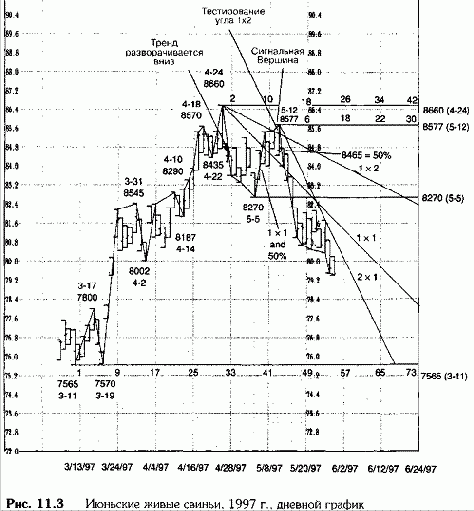 Живые свиньи на июнь, 1997 год, дневной график