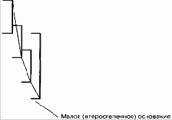 Внешний бар