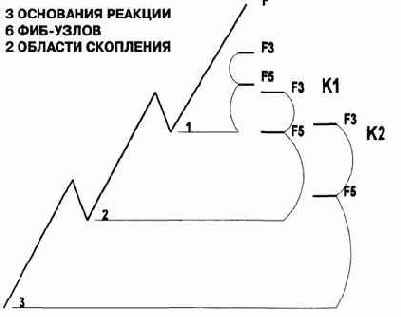 ������ ������� ���������� ����� ������� 