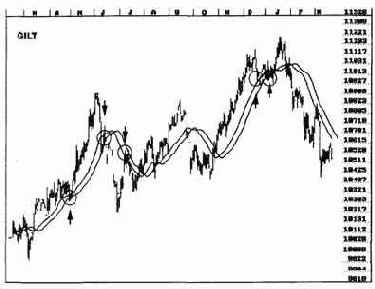 ���� ���������� ������ ������ ������ 