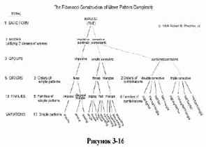 ����� ��������� - ���������� ��������� � ��������� ������ ����