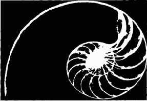 Отношения Фибоначчи в геометрии