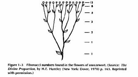 ����p �. - �������������H���� ����H���� �������H�� � ��������� ��� ���������