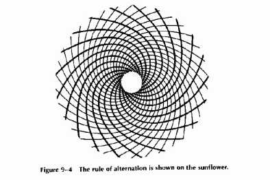 ������H�H�� ��H� � �����H�