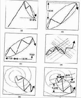 ���� ���������� ������������ ���������