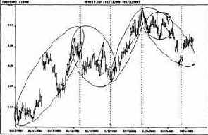 �� �������� ���� ����������� �� 