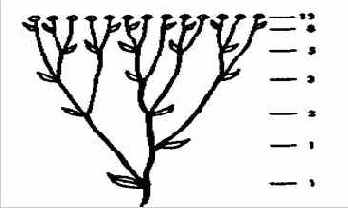 ��������� ��������� � �������