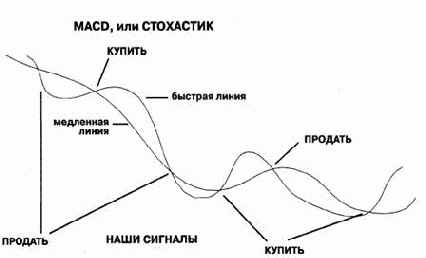 ������������� ����������