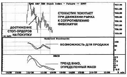 ������������� ����������