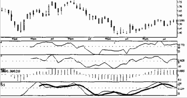 Используемые в анализе порядки показателей