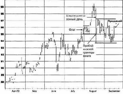 �������� ����, ������� 1993 ������� �������� �������