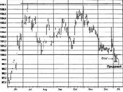 �������� ����, ��� 1995 ������� �������� �������