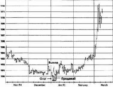 �������� ����, ��� 1995 �������� �������