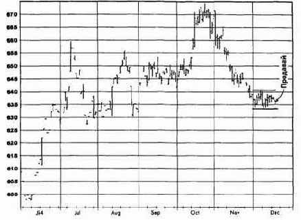 �������� �����, ���� 1995 ������� �������� �������