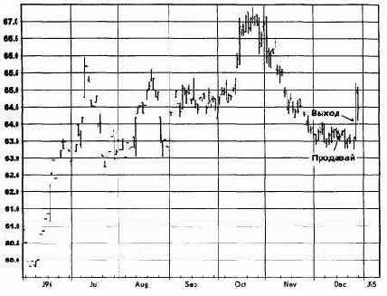 �������� �����, ���� 1995 �������� �������