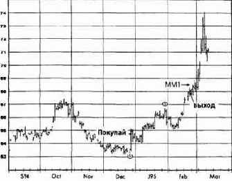 �������� �����, ���� 1995 �������� �������